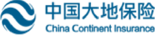 中国大地保险